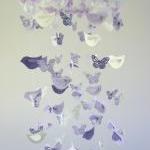 Butterflies & Birds Nursery..